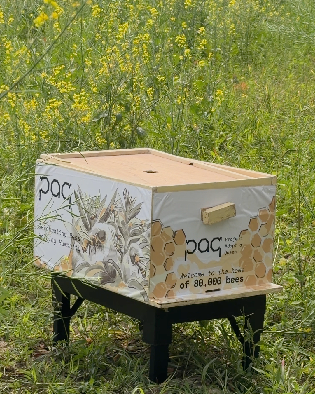 Live Colony Updates
